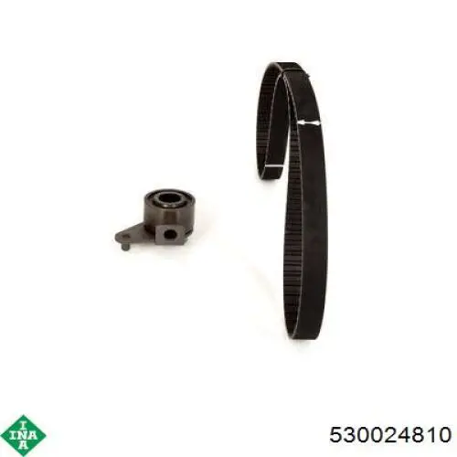 Комплект ГРМ INA 530024810 ціна, від 42.75 USD