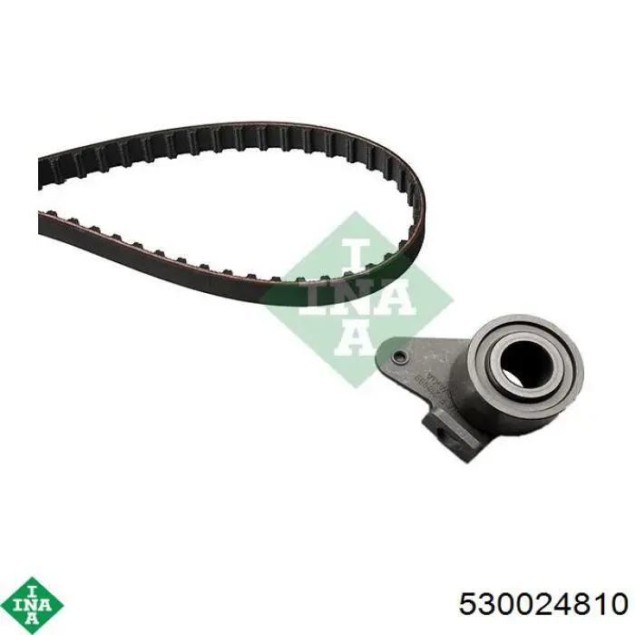 Комплект ГРМ 530024810 INA