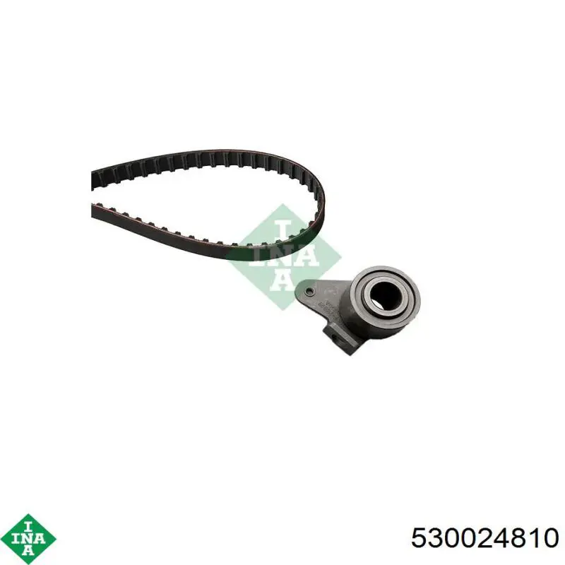 Комплект ГРМ INA 530024810 ціна, від 42.75 USD