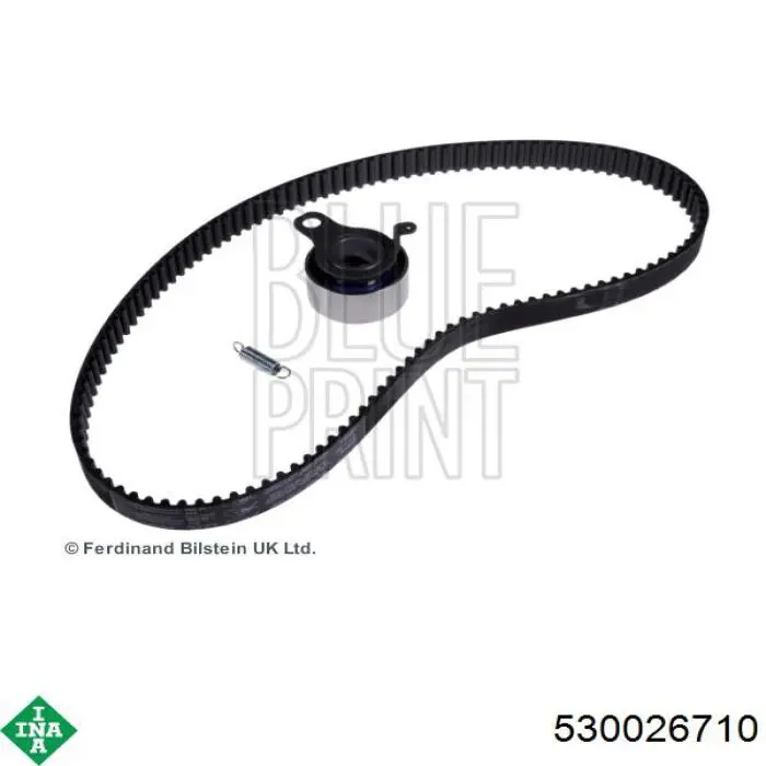 Комплект ГРМ 530026710 INA