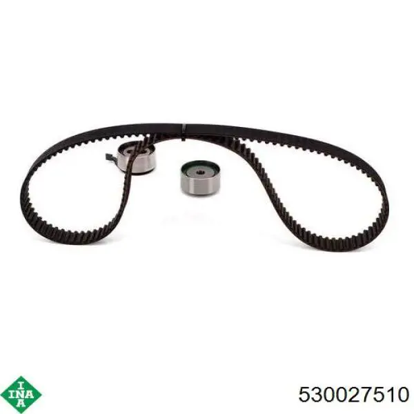 Комплект ГРМ 530027510 INA