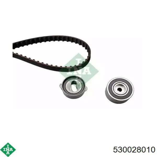Комплект ГРМ 530028010 INA