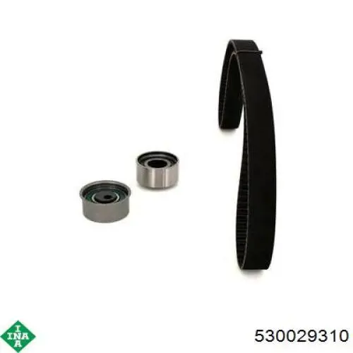Комплект ГРМ 530029310 INA