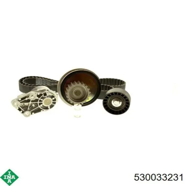 Комплект ГРМ 530033231 INA