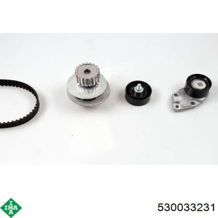 Комплект ГРМ INA 530033231 ціна, від 111.27 USD