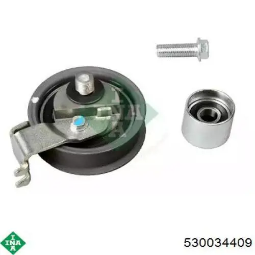 Комплект ГРМ INA 530034409 ціна, від 191.21 USD