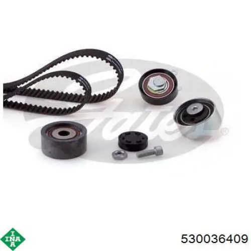 530036409 INA