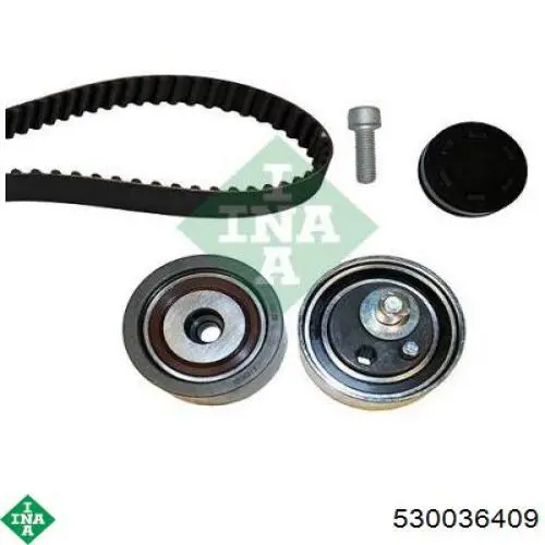 530036409 INA