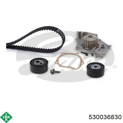 Комплект ГРМ INA 530036830 ціна, від 106.69 USD