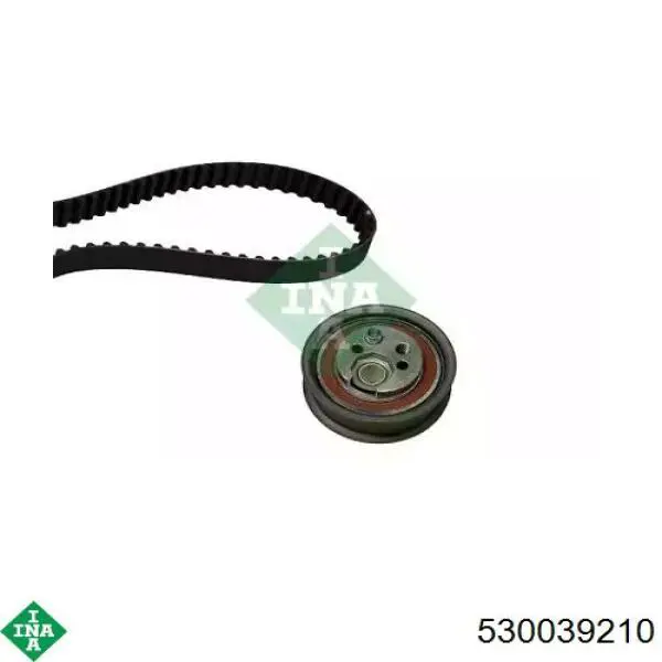 Комплект ГРМ INA 530039210 ціна, від 62.71 USD