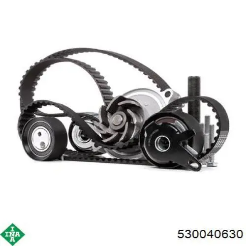 Комплект ГРМ 530040630 INA