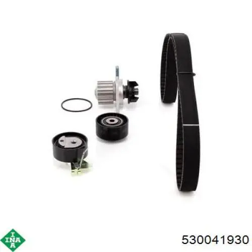 Комплект ГРМ INA 530041930 ціна, від 98.12 USD