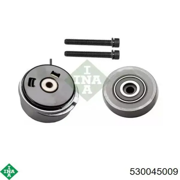 Комплект ГРМ INA 530045009 ціна, від 141.08 USD
