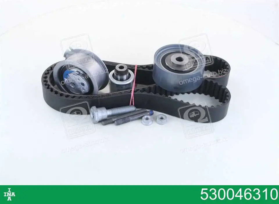 Купити 530046310 INA ГРМ ремень