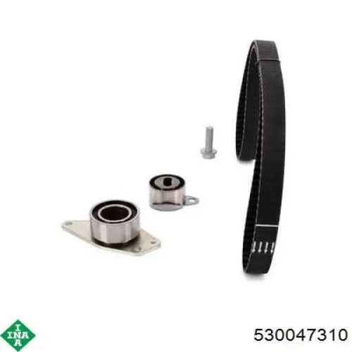 Комплект ГРМ 530047310 INA