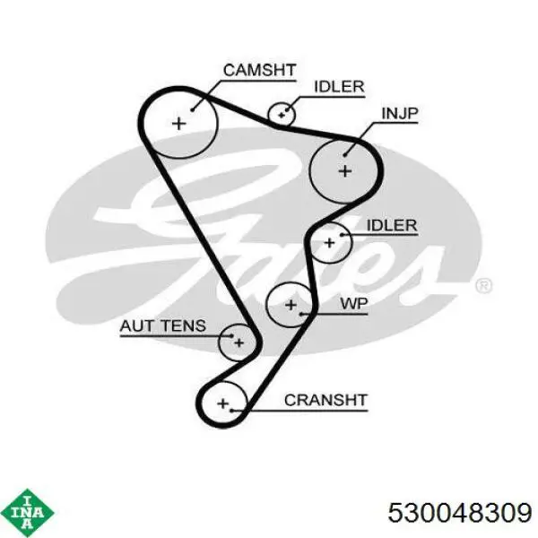 Комплект ГРМ 530048309 INA
