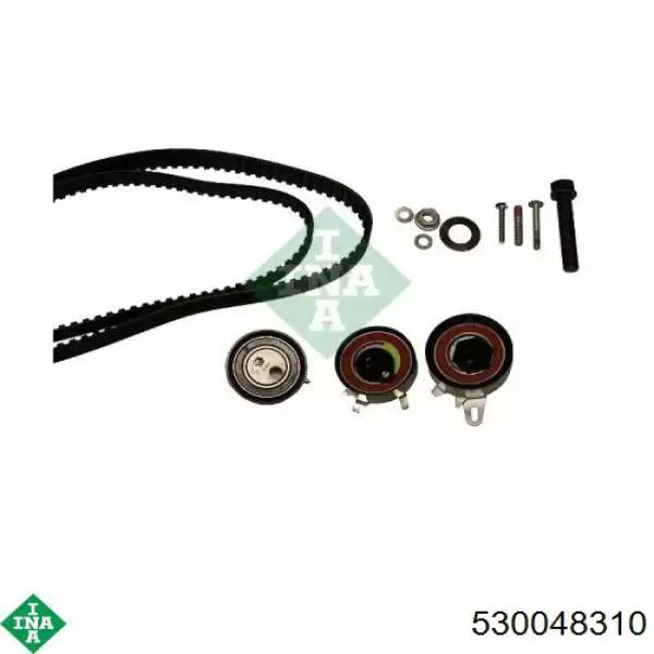 Комплект ГРМ 530048310 INA