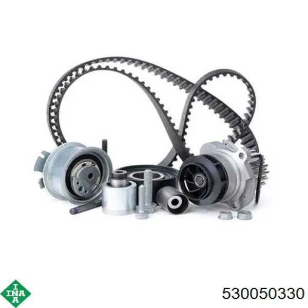 Комплект ГРМ INA 530050330 ціна, від 174.00 USD