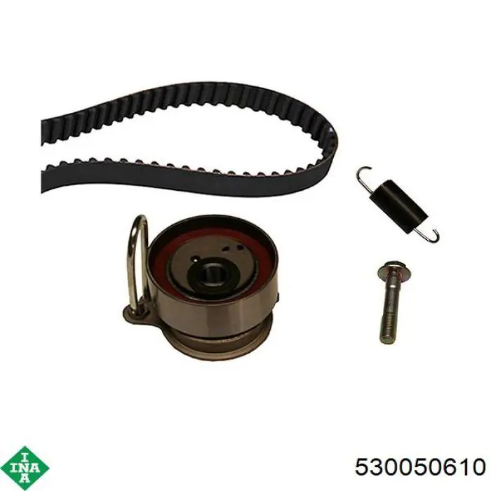 Комплект ГРМ INA 530050610 ціна, від 43.11 USD