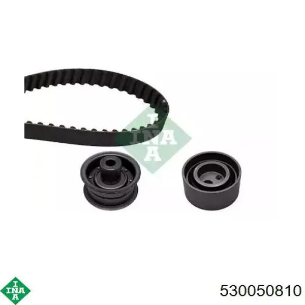 Комплект ГРМ 530050810 INA