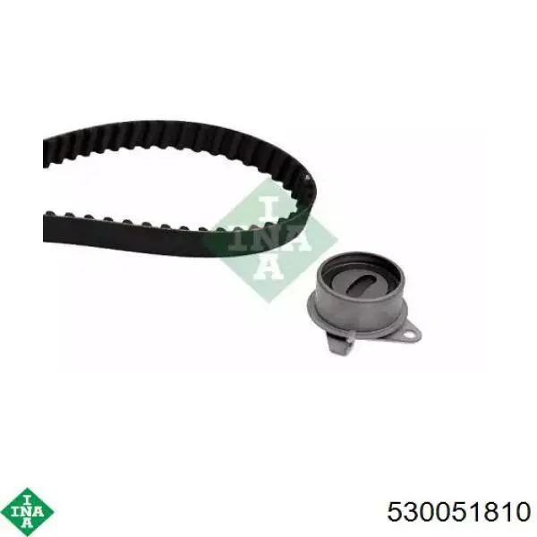 Комплект ГРМ 530051810 INA
