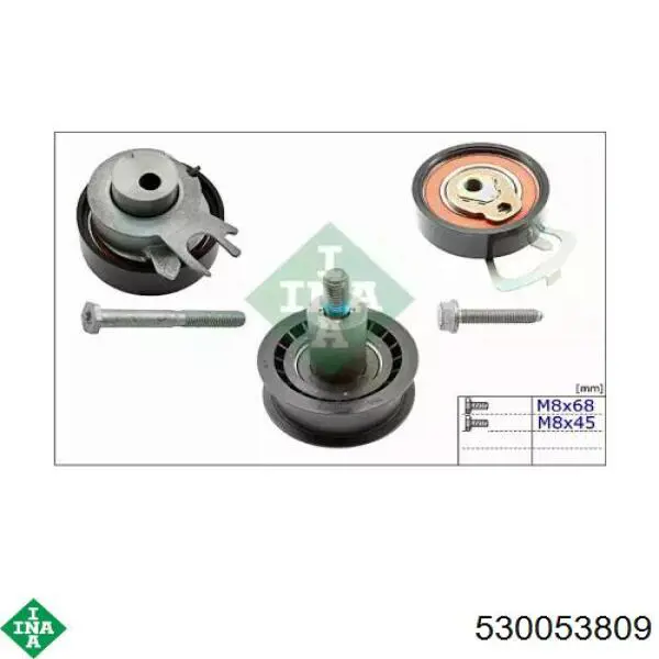 530053809 INA
