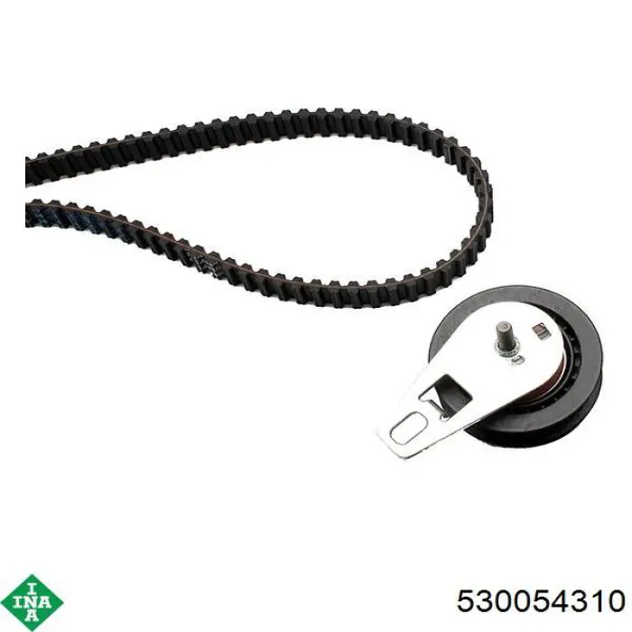 Комплект ГРМ INA 530054310 ціна, від 136.01 USD