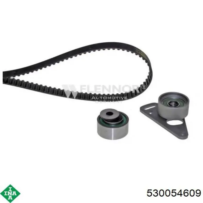 Комплект ГРМ 530054609 INA