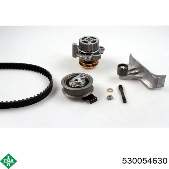 Комплект ГРМ INA 530054630 ціна, від 150.53 USD