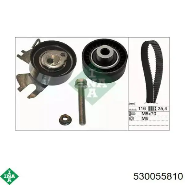 Комплект ГРМ 530055810 INA
