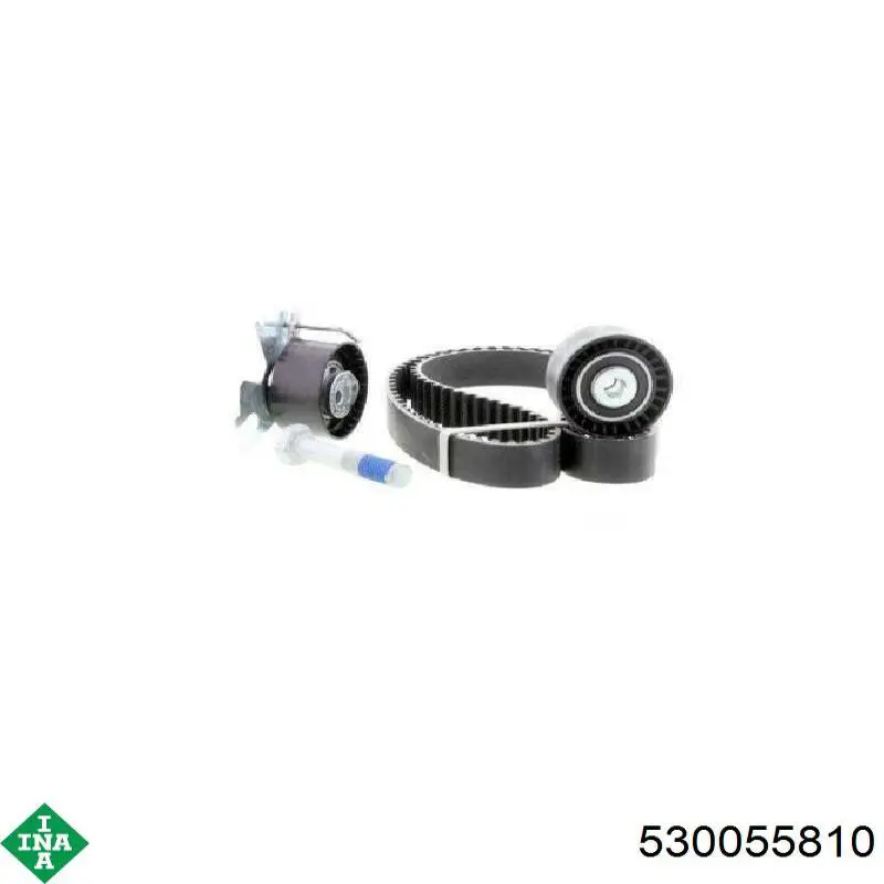 Комплект ГРМ INA 530055810 ціна, від 75.80 USD
