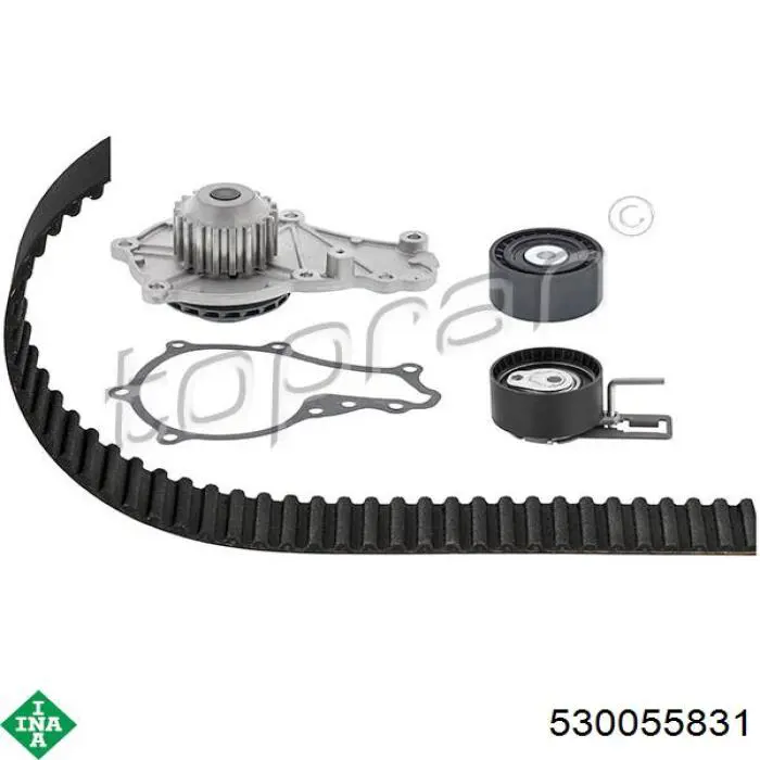 Комплект ГРМ 530055831 INA