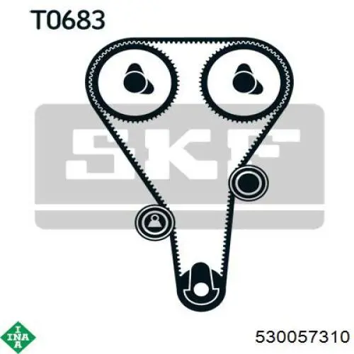 Комплект ГРМ INA 530057310 ціна, від 49.00 USD