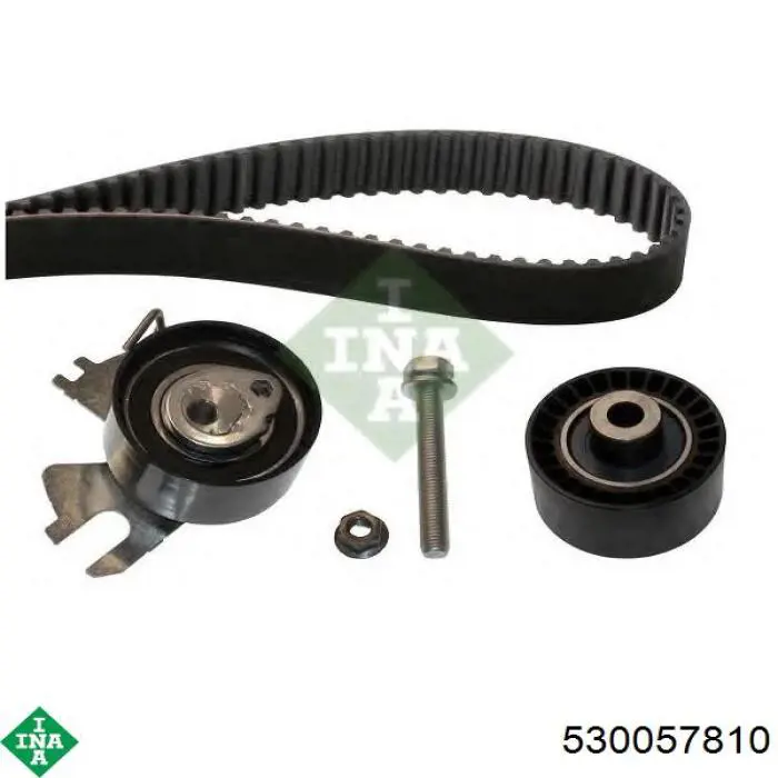 Комплект ГРМ INA 530057810 ціна, від 81.12 USD