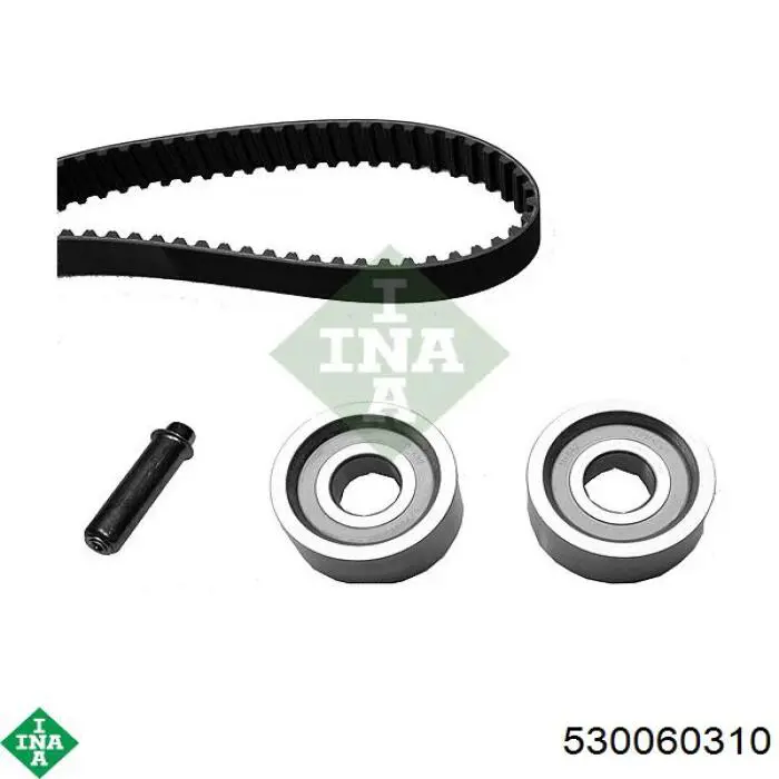 Комплект ГРМ INA 530060310 ціна, від 89.02 USD