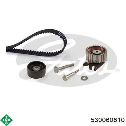 Комплект ГРМ INA 530060610 ціна, від 104.37 USD