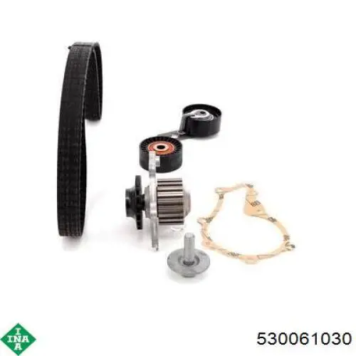 Комплект ГРМ INA 530061030 ціна, від 112.15 USD