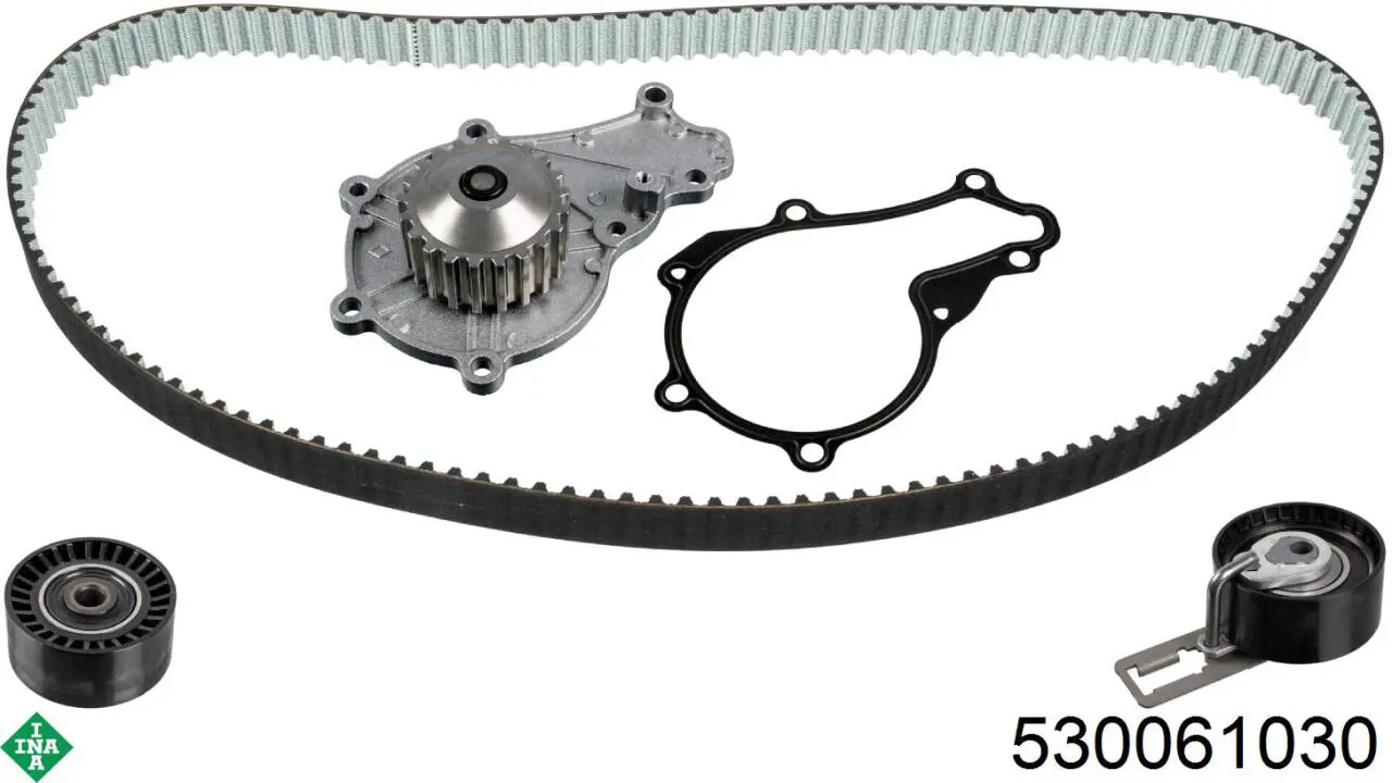 Комплект ГРМ 530061030 INA