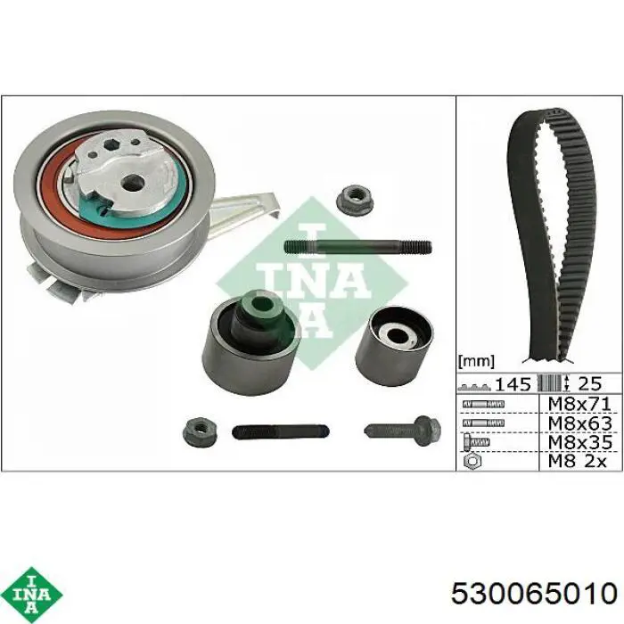 Комплект ГРМ 530065010 INA