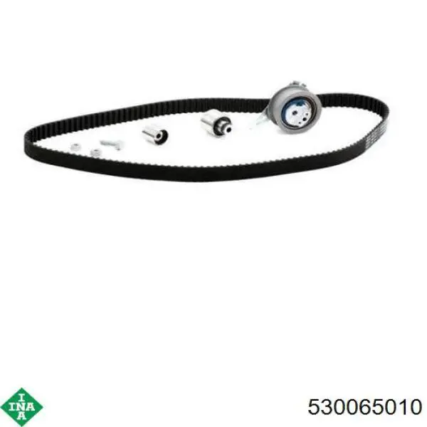 Комплект ГРМ INA 530065010 ціна, від 104.95 USD
