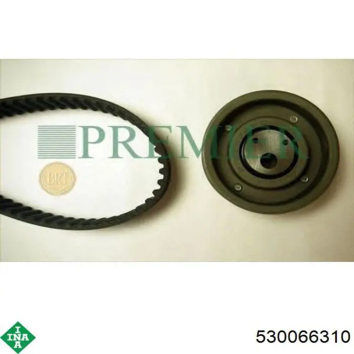 Комплект ГРМ INA 530066310 ціна, від 66.64 USD