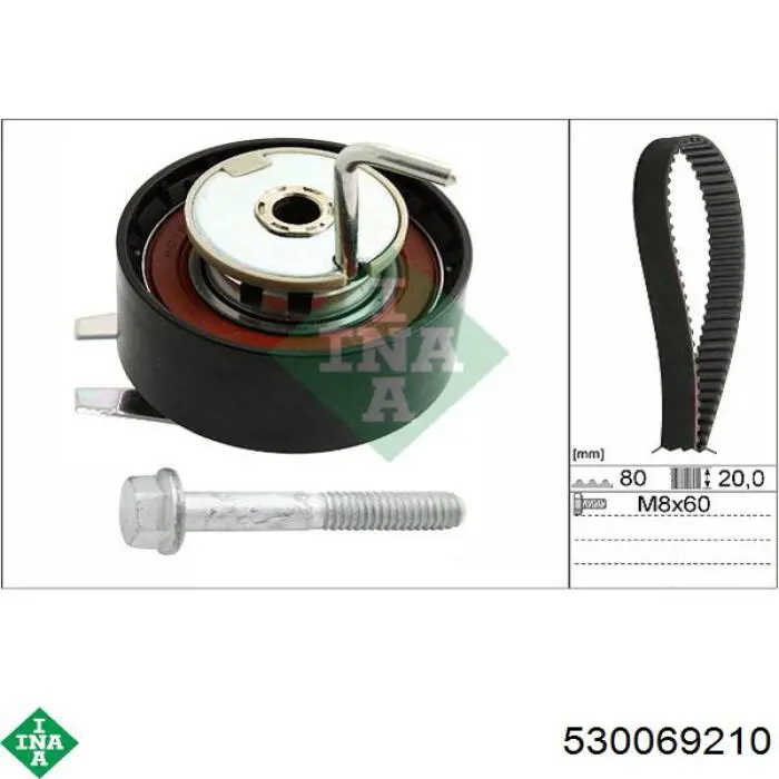 Комплект ГРМ INA 530069210 ціна, від 87.92 USD