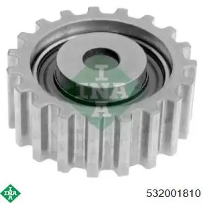 Купити 532001810 INA Ролик паразитний ГРМ