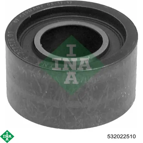 Купити 532022510 INA Ролик паразитний ГРМ