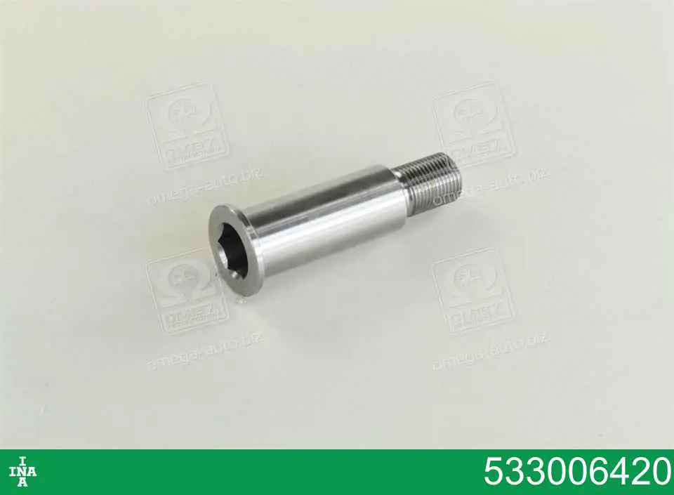 Купити 533006420 INA Кронштейн натягувача приводного ременя