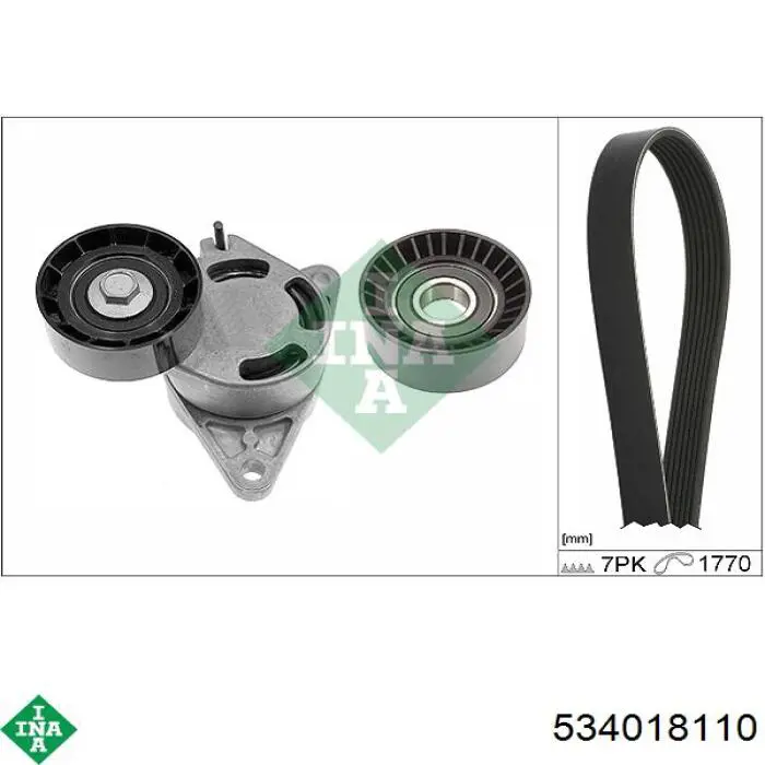 Натягувач приводного ременя INA 534018110 ціна, від 75.90 USD