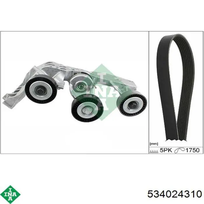 Натягувач приводного ременя INA 534024310 ціна, від 119.42 USD