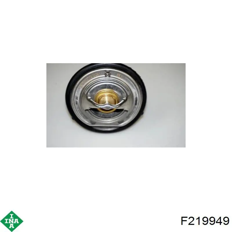 Купити F219949 INA Натяжний ролик
