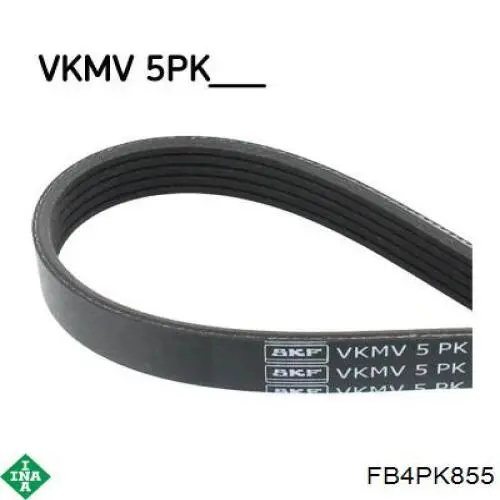 Купити FB4PK855 INA Ремінь генератора
