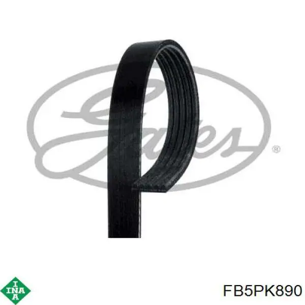 Клиновий ремінь INA FB5PK890 ціна, від 6.55 USD